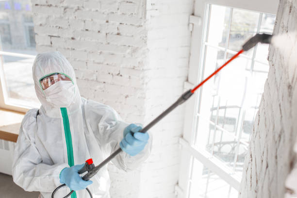 Best HVAC Mold Inspection and Cleaning  in Buenaventura Lakes, FL