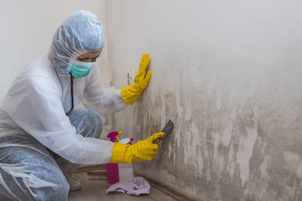 Best Airborne Mold Testing  in Buenaventura Lakes, FL
