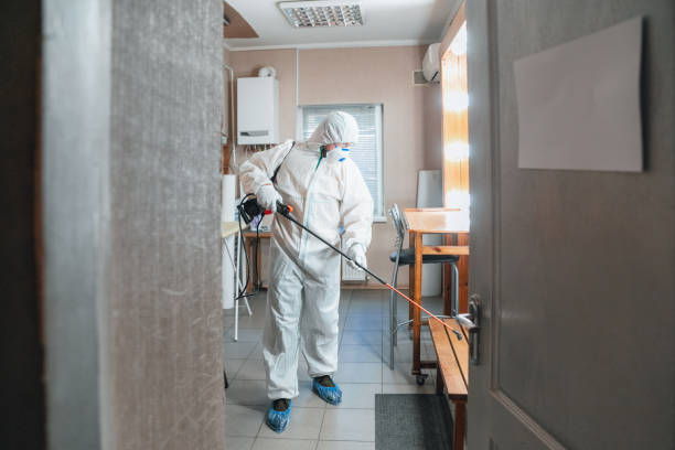 Best Real Estate Mold Inspection  in Buenaventura Lakes, FL