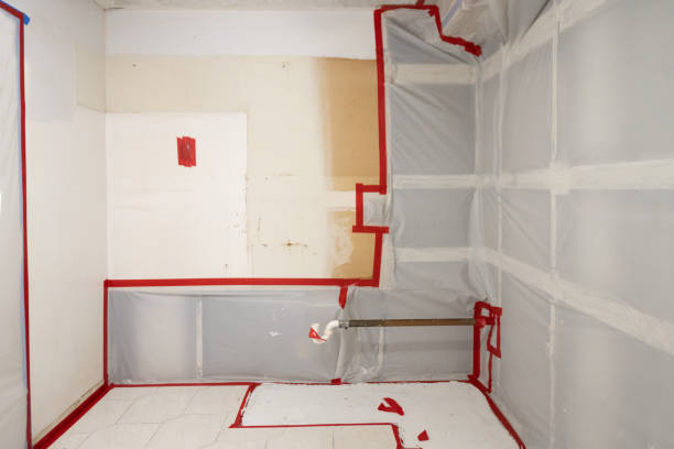 Mold Removal for HVAC Installations in Buenaventura Lakes, FL
