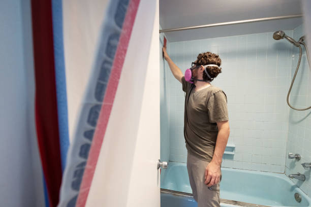 Best Mold Damage Restoration  in Buenaventura Lakes, FL