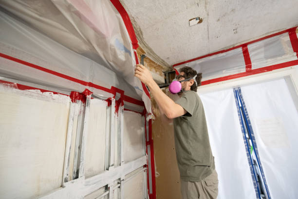 Best Mold Prevention Services  in Buenaventura Lakes, FL