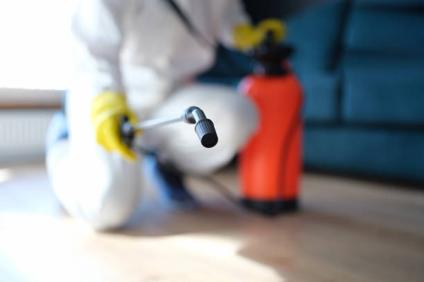 Best HVAC Mold Inspection and Cleaning  in Buenaventura Lakes, FL