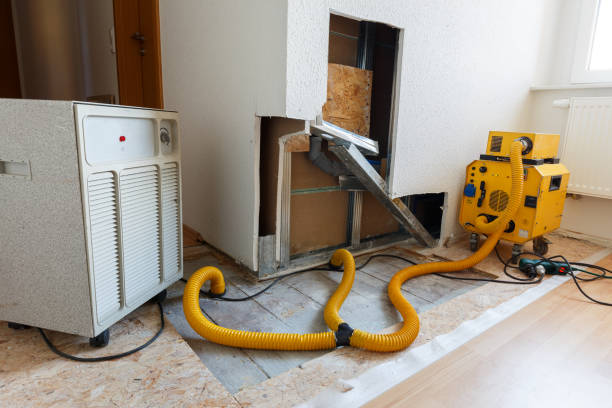 Best Mold Documentation for Insurance Claims  in Buenaventura Lakes, FL